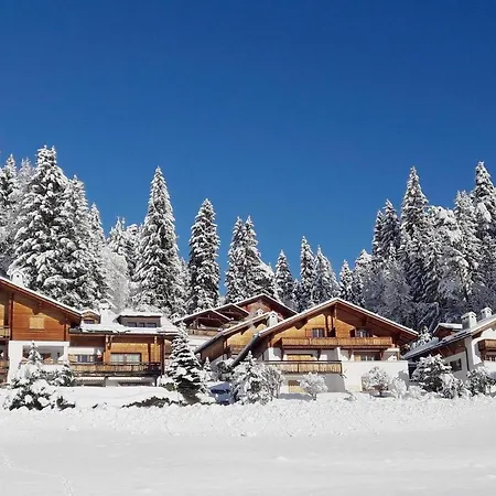 Sonnige Gartenwohnung Daire